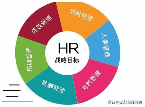 普通本科熱門專業(yè)就業(yè)冷思考 人力資源管理咨詢服務(wù)