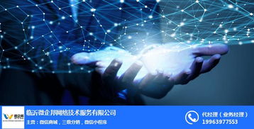 微盟城系統(tǒng)與微企邦網(wǎng)絡(luò)銷售 河?xùn)|區(qū)城網(wǎng)絡(luò)服務(wù)咨詢?nèi)ヂ? class=